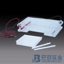 國產(chǎn)DYCP-31F瓊脂糖水平電泳儀(槽)(大號(hào))